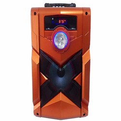 Loa Bluetooth Công Suất Lớn Karaoke RX302 - 301 + Tặng Kèm Micro (Chính Hãng)