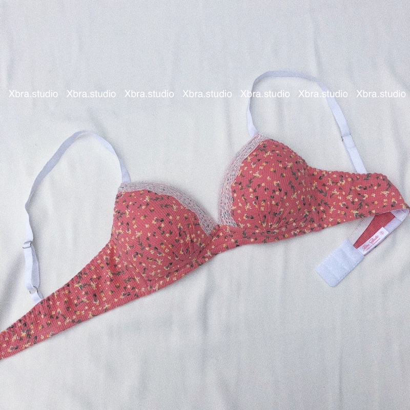 Bộ đồ lót cotton hoa nhí áo bralette MÚT LIỀN MẪU MỚI | BigBuy360 - bigbuy360.vn