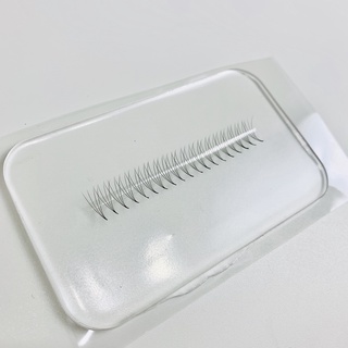 Mi fan MDC LASHES 4D độ cong C - CC - D, độ dày 0.07 (1 hộp 1000 fan)