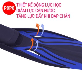 Chân Nhái Lặn Biển Popo