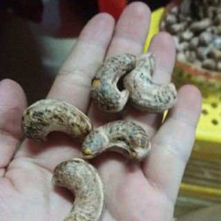 HẠT ĐIỀU RANG MUỐI BÌNH PHƯỚC
