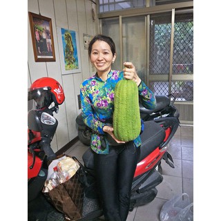 Hạt Giống Mướp Đài Loan - 10 Hạt