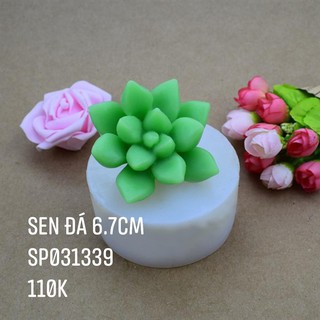 Khuôn Silicone Xương Rồng Sen Đá 13 Cánh