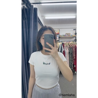 ÁO CROPTOP NỮ ÔM TAY NGẮN THUN ANGEL CỰC ĐẸP