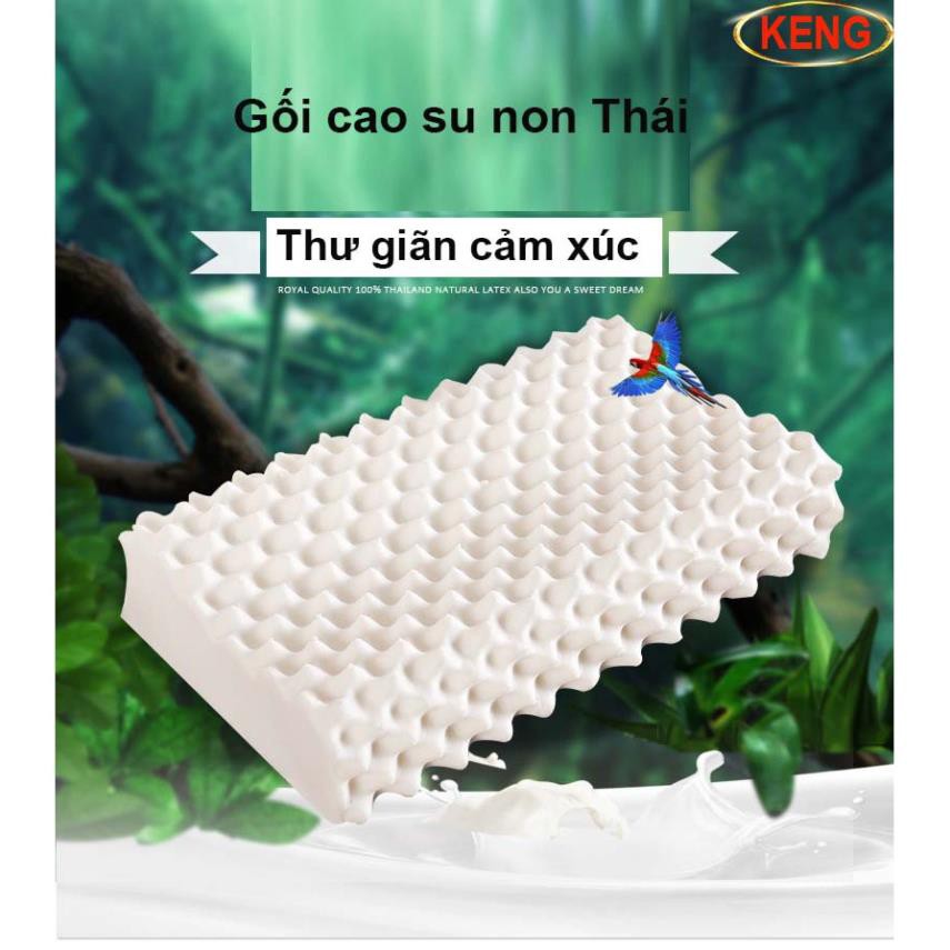 [GIẢM GIÁ] Gối cao su non thiên nhiên cao cấp Ventry, đàn hồi tốt, thấm hút mồ hôi hiệu quả