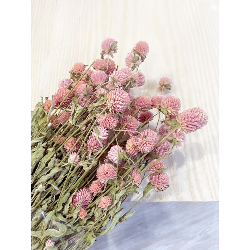 Hoa khô ❤️FREESHIP❤️ Globe Amaranth cúc bách nhật trang trí phòng khách, đính thiệp handmade