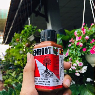 Phân bón ra rễ cực mạnh ENROOT 100ml