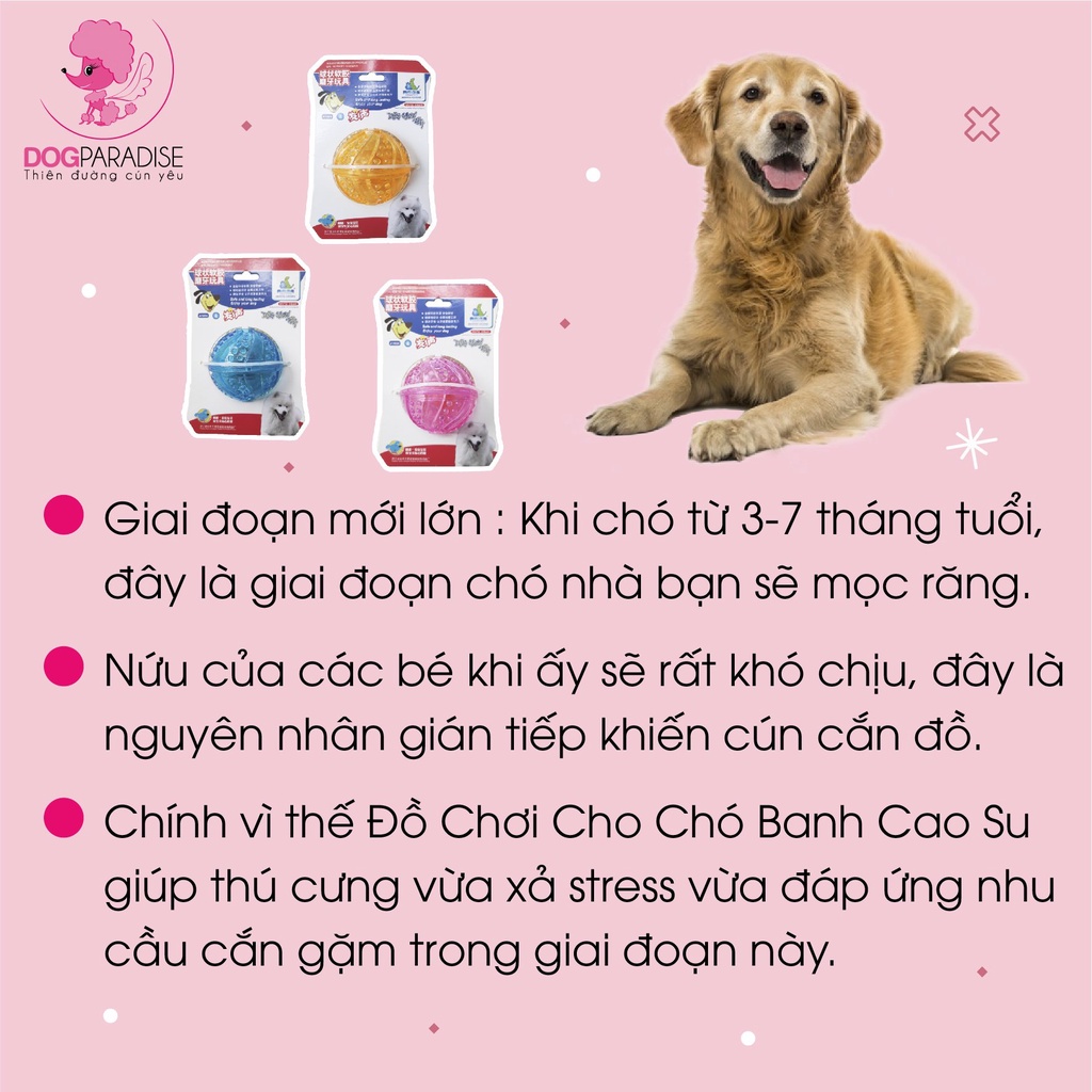 Đồ chơi cho chó banh cao su PIAN PIAN - Dog Paradise