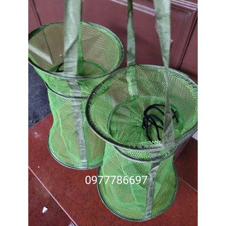 giỏ đựng cá màu xanh
