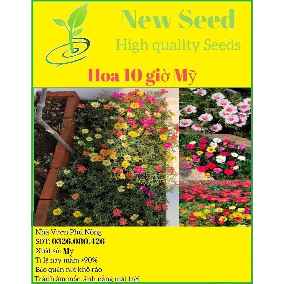 Hạt giống hoa mười giờ Mỹ F1 loại dễ trồng mix nhiều màu hoa [gói 100gram, 200gram, 500gram]