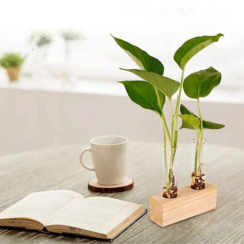 Bình Kính Trồng Cây Thủy Tinh Để Bàn Tiện Dụng