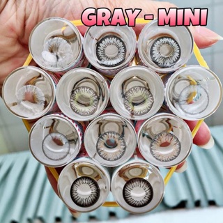 Lens xám mới