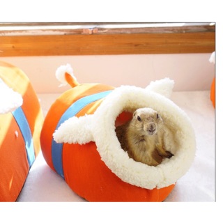 Ổ cho guinea pig,hamster,sóc - Nhà cho thú cưng