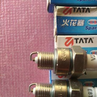 Buzi máy nổ TATA