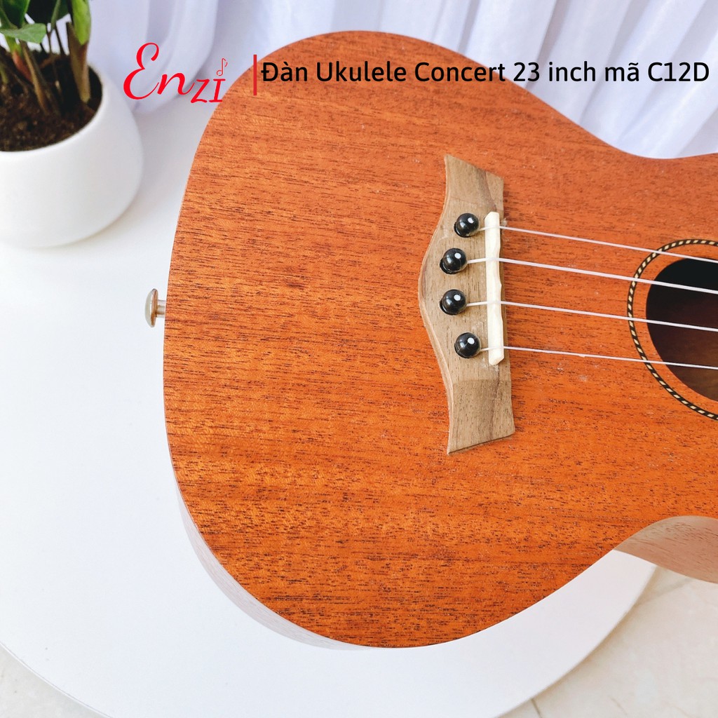 Đàn ukulele size 23 concert Enzi C12D gỗ chất lượng có chốt đàn, âm thanh chuẩn cho người mới bắt đầu