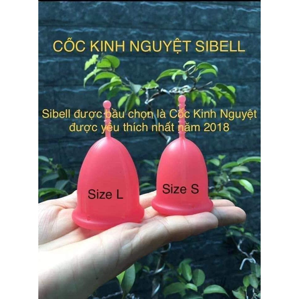 Cốc nguyệt san Sibell nhập khẩu chính hãng từ Pháp