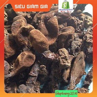 [SIÊU RẺ] 500G Nấm ngọc cẩu rừng nguyên búp cam kết hàng khô chất lượng cao