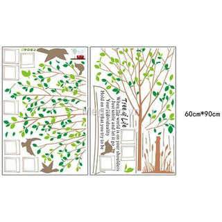 Decal khung ảnh A008