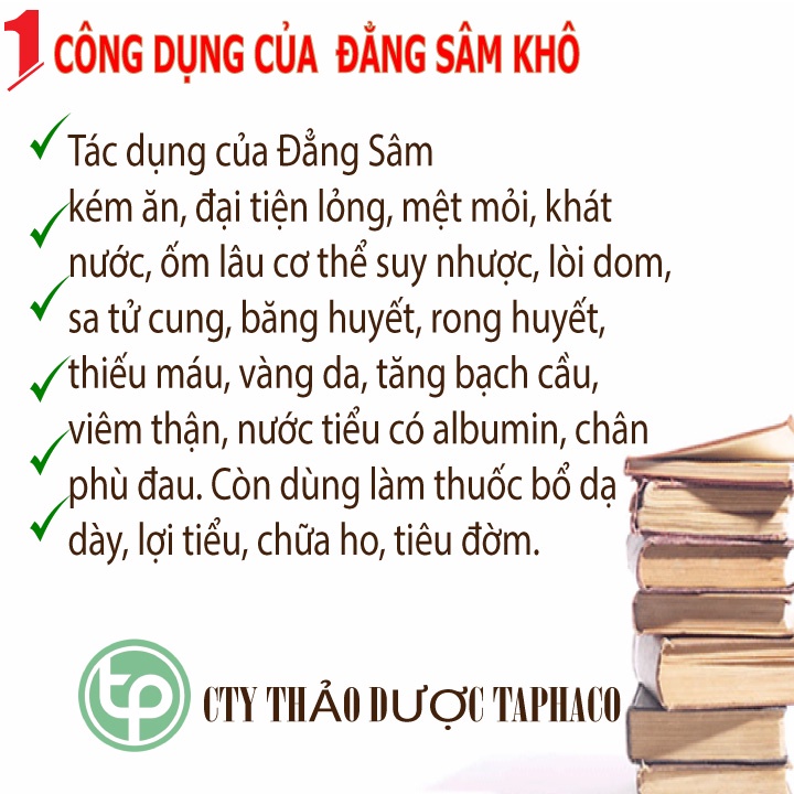 - Đắng sâm  sấy khô - tấn phát