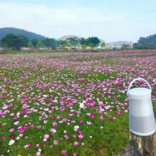 Hạt sao nhái   mix màu