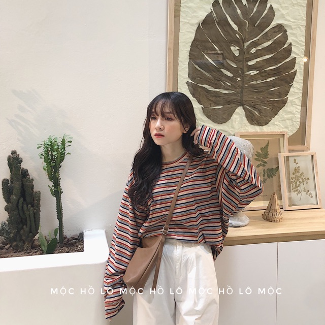 Áo pull kẻ oring