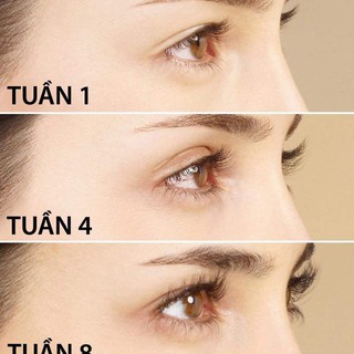 Dưỡng Mi Eveline 8 in 1 Total Action 10ml