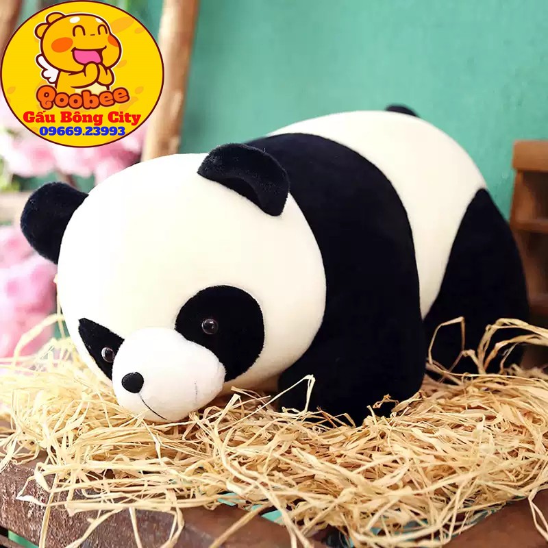 Gấu Bông Gối Ôm Gấu Trúc Panda Dễ Thương Quà Tặng Cao Cấp