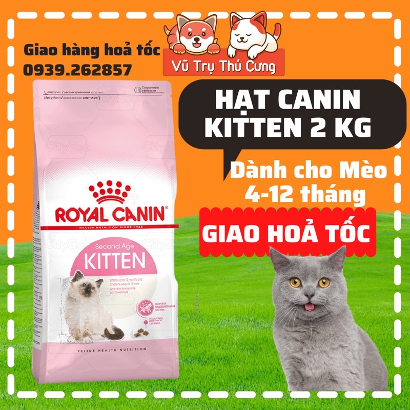 Thức ăn hạt Royal Canin Kitten dành cho mèo con
