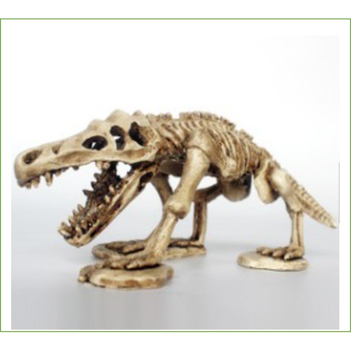 Xương, sọ khủng long hoá thạch_ trang trí bể cá