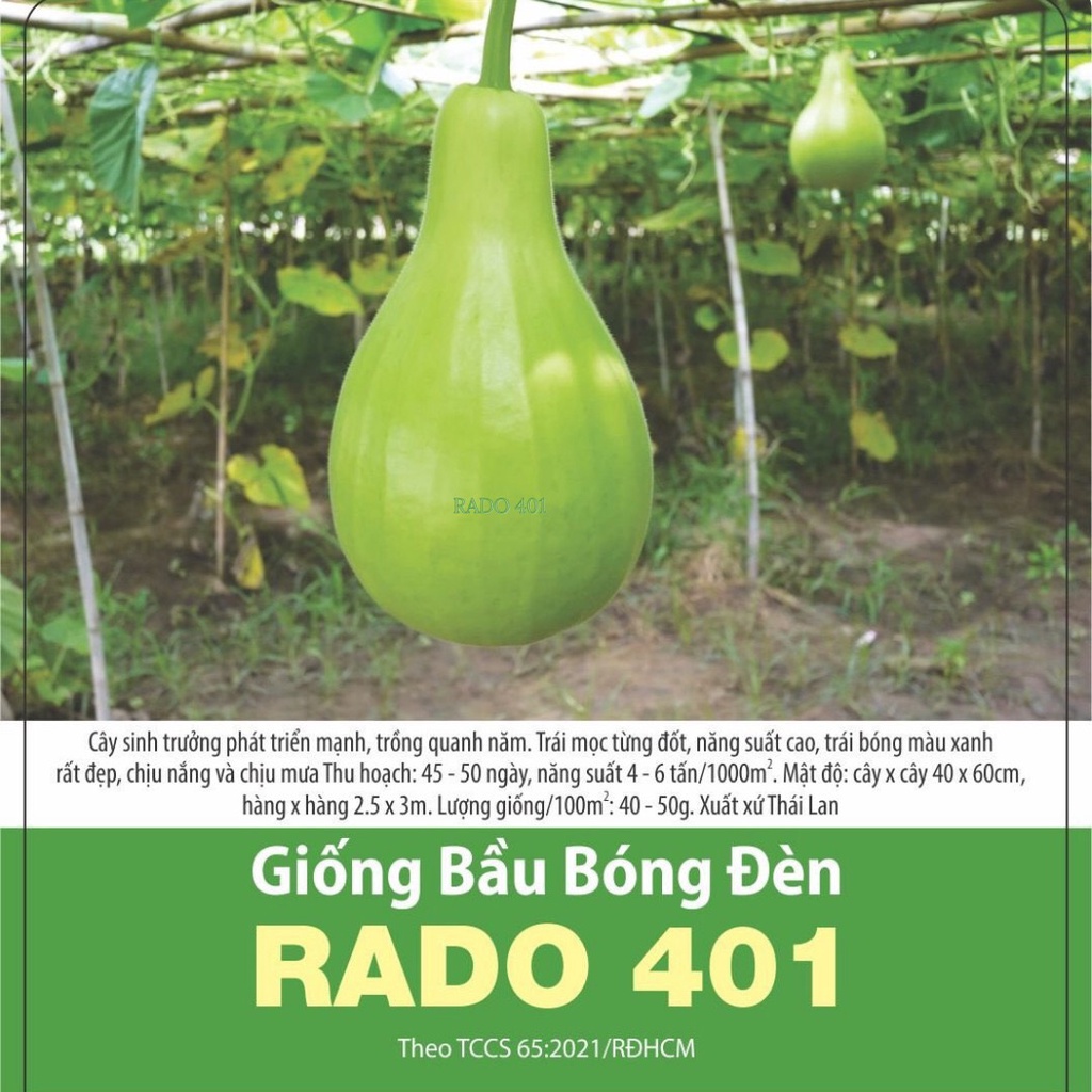 Hạt giống Bầu bóng đèn (bầu gáo), đóng gói 1gr (khoảng 10 hạt)