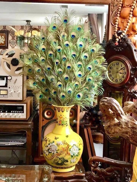 Lông công 10-15cm trang trí loại đẹp | BigBuy360 - bigbuy360.vn