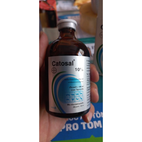 Catosal 10% thái lan