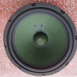 Loa rời bass 25cm từ kép (2loa(