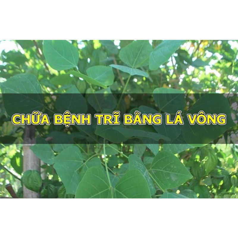 1kg lá vông nem khô thơm sạch.