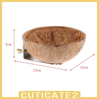 Set 2 Tổ Chim Trái Dừa Tự Nhiên