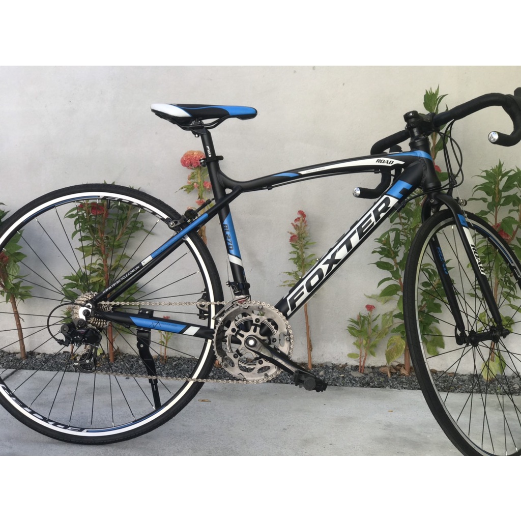 Xe đạp Foxter BL270