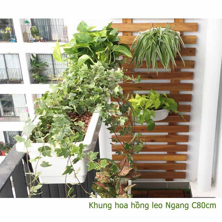 Giàn gỗ treo ban công, R80xC80cm, gỗ tràm siêu bền, màu gỗ, làm khung hoa hồng leo, bông giấy |Greenhome