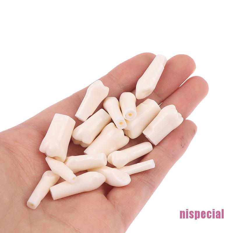 Bộ 28 Mô Hình Răng Giả Bằng Nhựa Chuyên Dùng Cho Nha Khoa