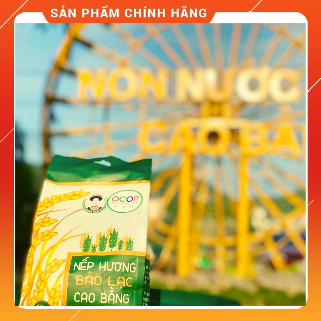 Gạo nếp hương Bảo Lạc 1kg - Đặc sản Cao Bằng, hạt tròn, thơm, dẻo, đậm vị