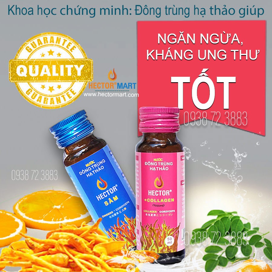 (DATE MỚI) Đông trùng hạ thảo Hector Collagen 5000mg (50 ml x 20 chai)