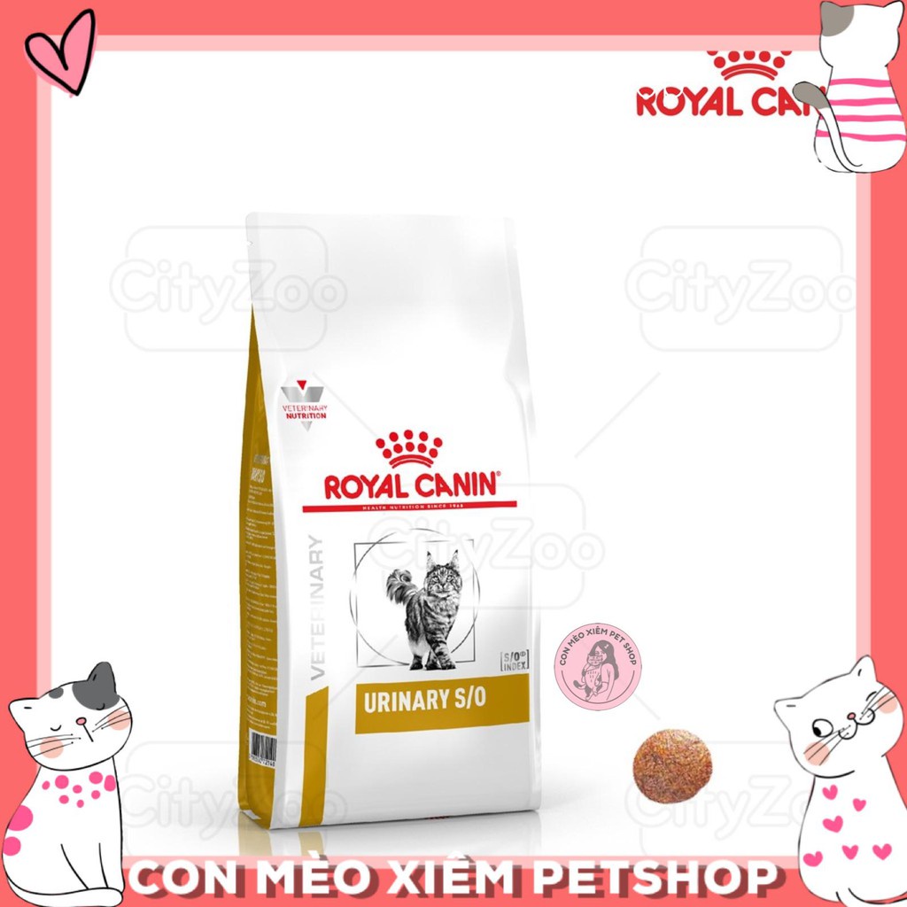 Hạt cho mèo Royal canin tiết niệu urinary s/o 1,5kg tiêu sỏi bàng quang Con Mèo Xiêm