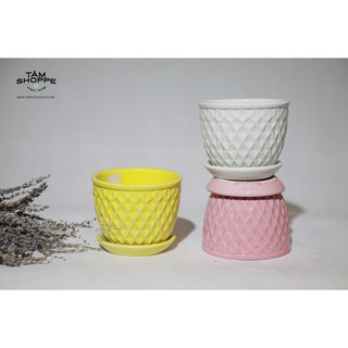 Chậu gốm caro có dĩa lót vintage số 28
