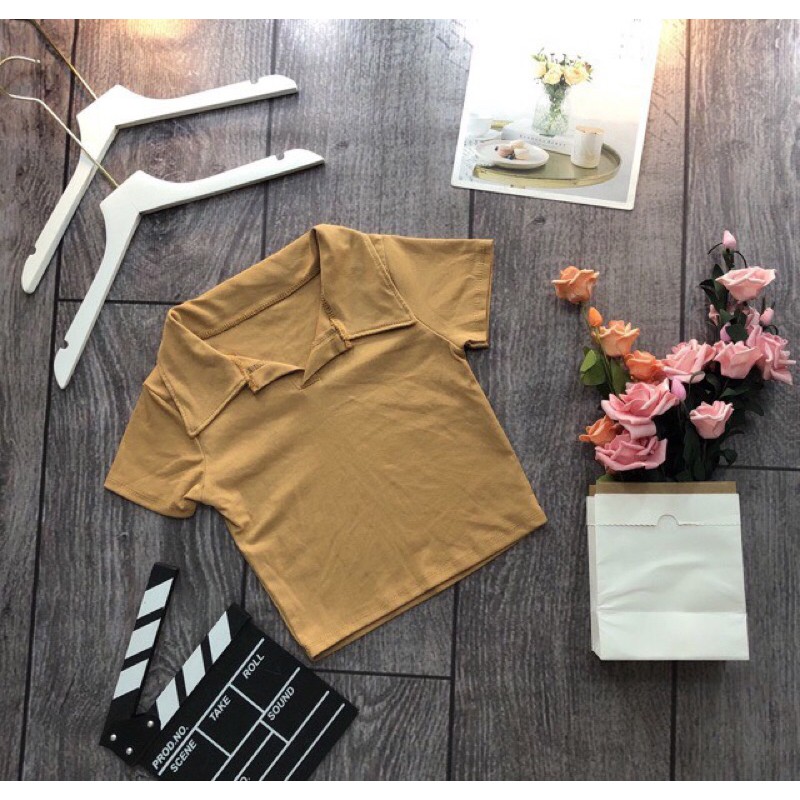 Áo thun croptop nữ cổ bẻ , thiết kế đẹp, Vải Cao cấp | BigBuy360 - bigbuy360.vn