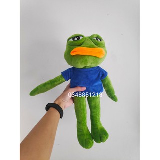 Ếch xanh pepe frog ngộ nghĩnh