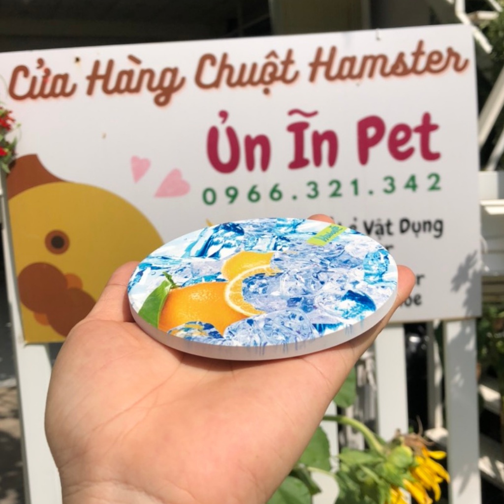 Tấm sứ tản nhiệt cho hamster, sóc, bọ, nhím, thú nhỏ