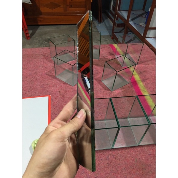 Kính kè cá 2 mặt beta,guppy