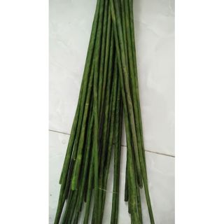 Nguyên liệu hoa đá pha lê cành kẽm