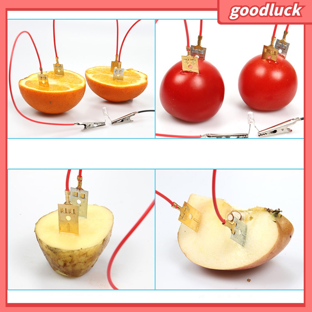 Bộ đồ chơi thí nghiệm khoa học có đèn chạy pin hình trái cây dành cho học sinh