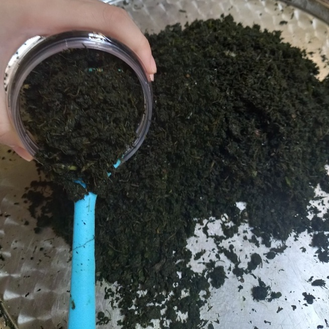 500 GAM MUỐI LÁ É MIỀN TRUNG
