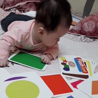 Combo 14 chủ đề bộ thẻ thế giới xung quanh
